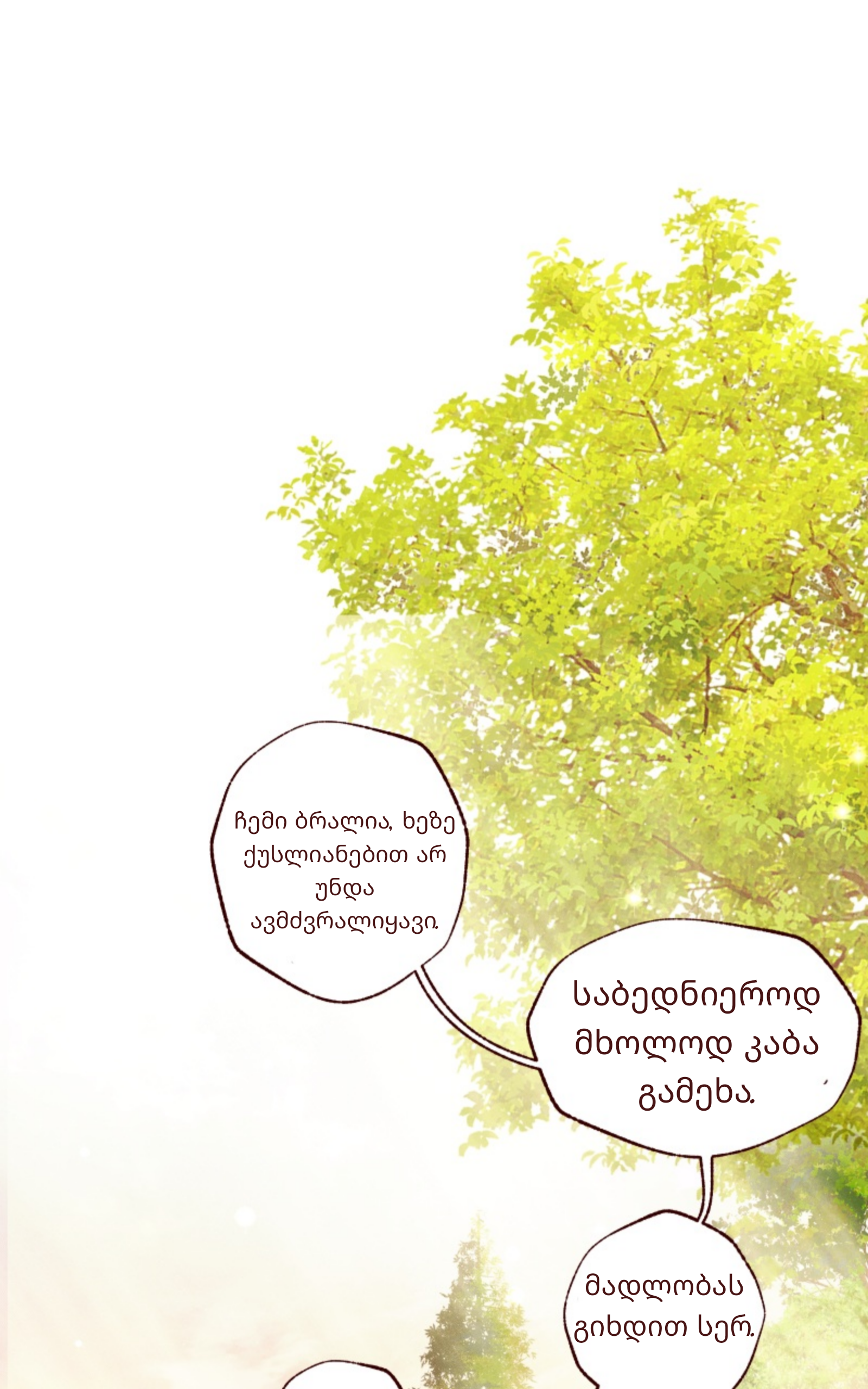 Page (17)